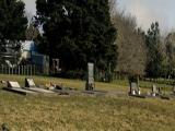 Wilson Road Private Church burial ground, Kaipara Flats